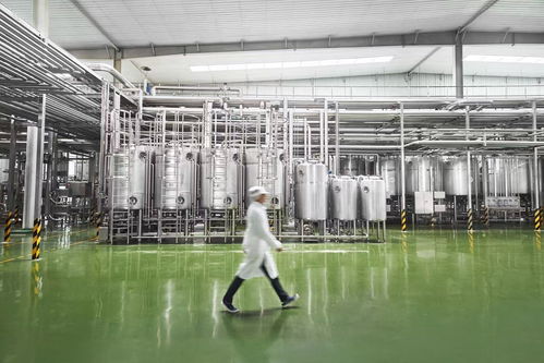 走進(jìn)新乳業(yè)智能工廠 低溫業(yè)務(wù)雙位數(shù)引領(lǐng)增長，生物芯與數(shù)智化雙輪驅(qū)動企業(yè)管理創(chuàng)新